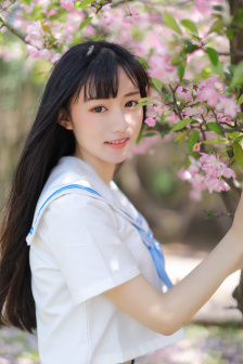 沉香如屑西瓜全集免费看